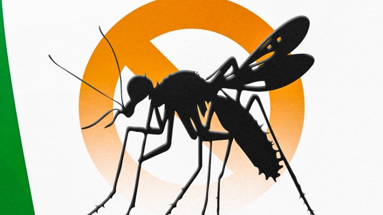 dengue,Camboriú,Secretaria de Saúde,Vigilância Sanitária,Ministério da Saúde,água parada,repelentes,Icaridina,DEET,IR3535,sintomas,febre,UBS,epidemias,prevenção