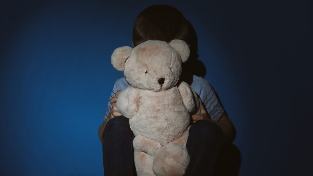 capacitação infantil,atendimento especializado,violência contra crianças,treinamento em Itajaí,Comdica,Univali Itajaí,Conselho Tutelar,rede de proteção infantil,revelação espontânea,profissionais da Educação,Saúde e Assistência Social,abuso infantil,capacitação exigida pelo Ministério Público,combate à violência,formação profissional gratuita,evento de qualificação