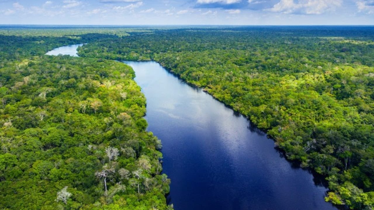 Conabio,Metas Nacionais de Biodiversidade,2030,Marco Global de Kunming-Montreal,MMA,conservação,espécies ameaçadas,bioeconomia,desmatamento,mudanças climáticas,Convenção sobre Diversidade Biológica,sustentabilidade,restauração de ecossistemas