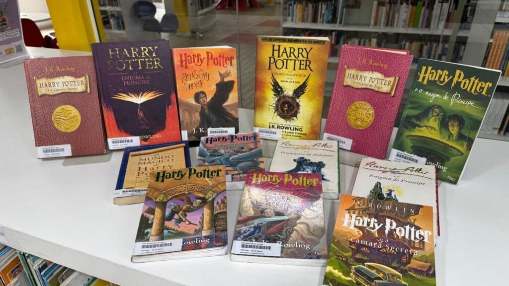 Biblioteca de Itajaí,Harry Potter,encontro temático,Grifinória,Sonserina,Corvinal,Lufa-Lufa,Pedra Filosofal,Eliana Camargo,hábito da leitura,adolescentes,acervo de livros,Itajaí,evento cultural