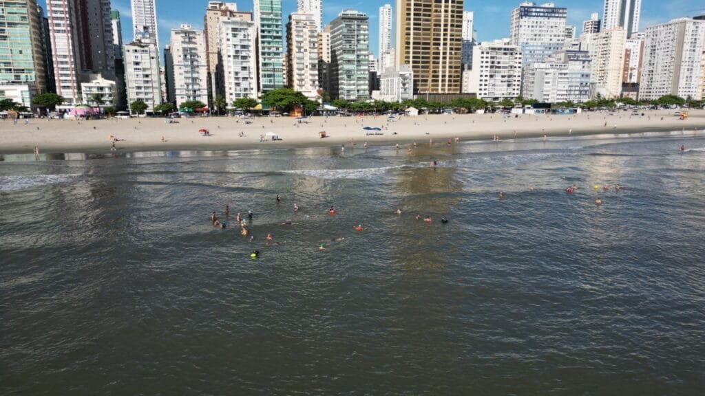 natação em águas abertas,Balneário Camboriú,FME,aulas gratuitas,Praia Central,Posto Guarda-Vidas 4,Rua 1400,iniciante,intermediário,avançado,esporte,saúde,cultura esportiva,atividade física
