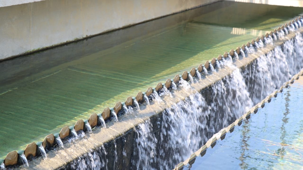 uso consciente da água,EMASA,Balneário Camboriú,Carnaval,dicas para economizar água,abastecimento de água,água potável,Estação de Tratamento de Água,responsabilidade ambiental,redução de consumo de água,cuidados com o abastecimento,água da chuva,prevenção de vazamentos,sustentabilidade,gestão da água