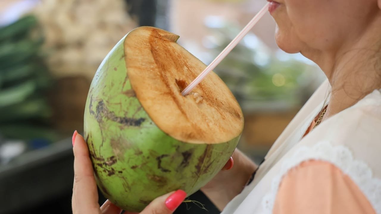 Carnaval,calor intenso,Santa Catarina,Secretaria da Saúde,hidratação,protetor solar,golpe de calor,Samu,Alfredo Schmidt Hebbel Busch,cuidados com a saúde