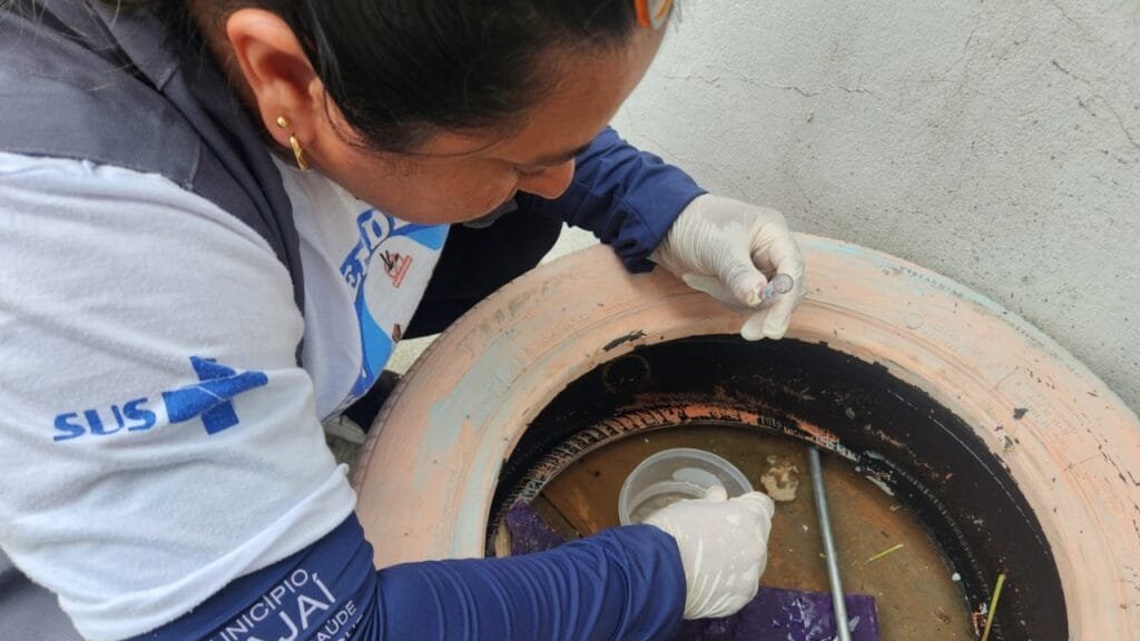 Programa de Controle da Dengue,Itajaí,LIRAa,Aedes aegypti,focos positivos,agentes de endemia,casos de dengue,bairros de risco,Lúcio Vieira,prevenção,índice de infestação,saúde pública,depósitos de água,pneus,bromélias