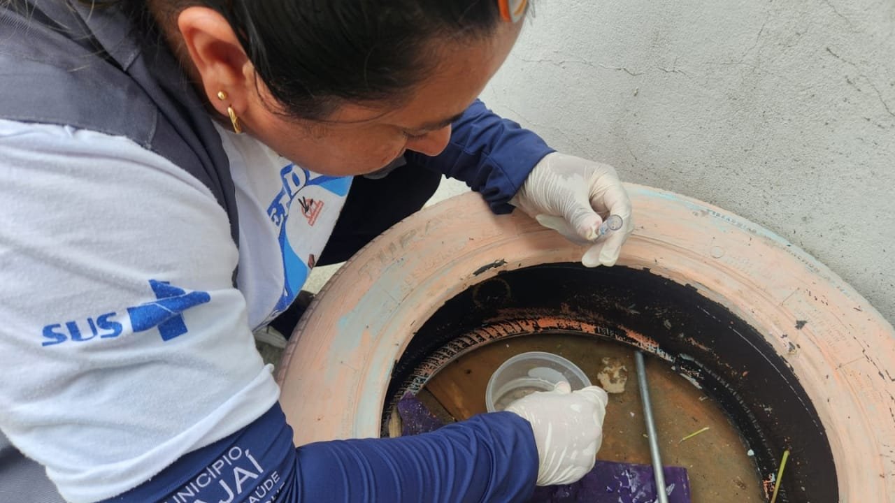 Programa de Controle da Dengue,Itajaí,LIRAa,Aedes aegypti,focos positivos,agentes de endemia,casos de dengue,bairros de risco,Lúcio Vieira,prevenção,índice de infestação,saúde pública,depósitos de água,pneus,bromélias