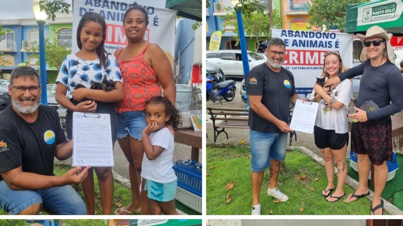 feira de adoção,Porto Belo,animais resgatados,abandono,maus-tratos,castração gratuita,Bem-Estar Animal,Som&Sol,proteção animal,conscientização,Governo Municipal,Fundação do Meio Ambiente,novos lares