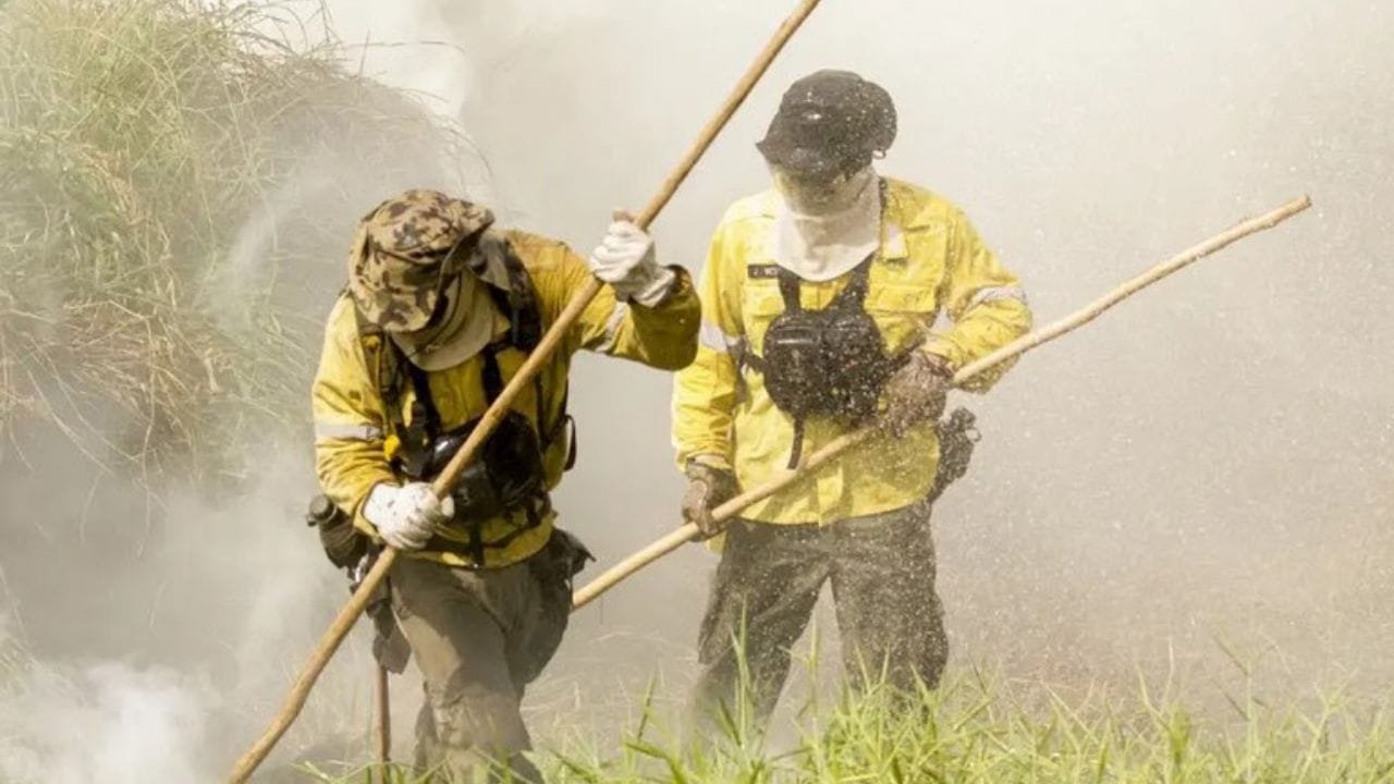 governo federal,brigadas federais,incêndios florestais,Prevfogo,contratação,prevenção,combate a incêndios,manejo do fogo,portaria Ibama,brigadistas,estados brasileiros,incêndio,proteção ambiental,Bahia,Tocantins