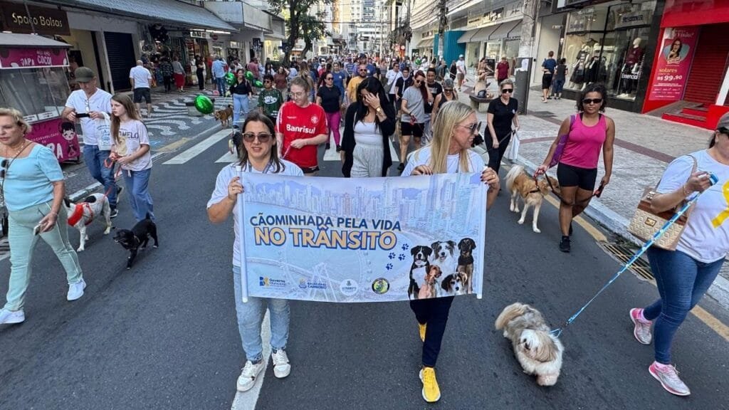 Cãominhada 2024,conscientização trânsito,passeio com cachorro,Avenida Atlântica,ONG Viva Bicho,brindes para pets,Evaldo Hoffmann,Prefeitura BC,Escola Pública de Trânsito,clínicas veterinárias,pet shops BC,doação de cães,prevenção acidentes,mobilização animal,Maio Amarelo pets