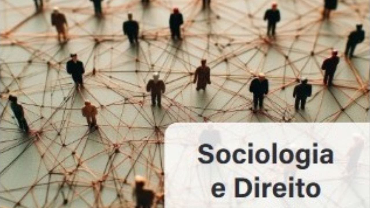 coletânea sociologia direito,sistema prisional brasileiro,Lei Maria da Penha análise,mudanças climáticas e direito,download livro acadêmico,UFT publicações,crítica social,políticas públicas,desigualdade racial,justiça climática
