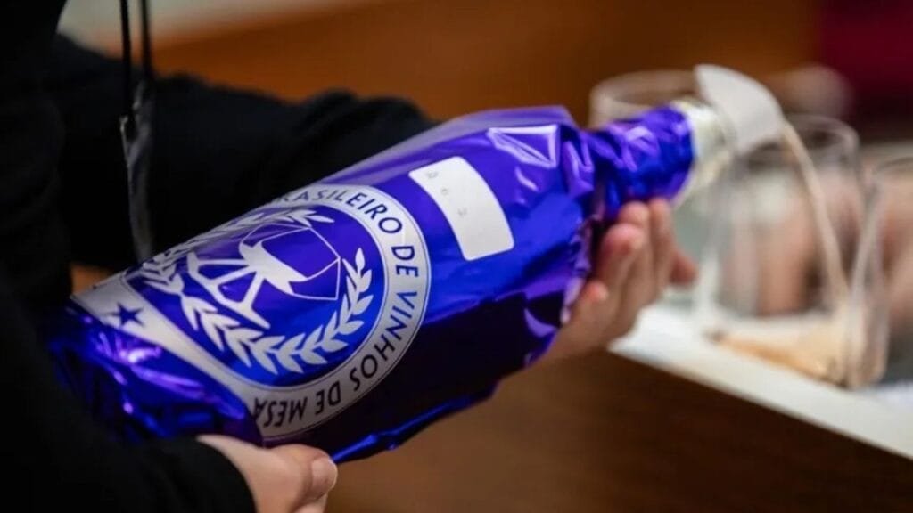 CBVM 2025,concurso de vinhos de mesa,vinhos brasileiros premiados,degustação às cegas,premiação enológica,vinho nacional,enologia brasileira,vinhos de Santa Catarina,vinhos do Rio Grande do Sul,safra 2025,qualidade do vinho brasileiro,Epagri Videira,apoio Embrapa,jurados especialistas,evento de vinhos