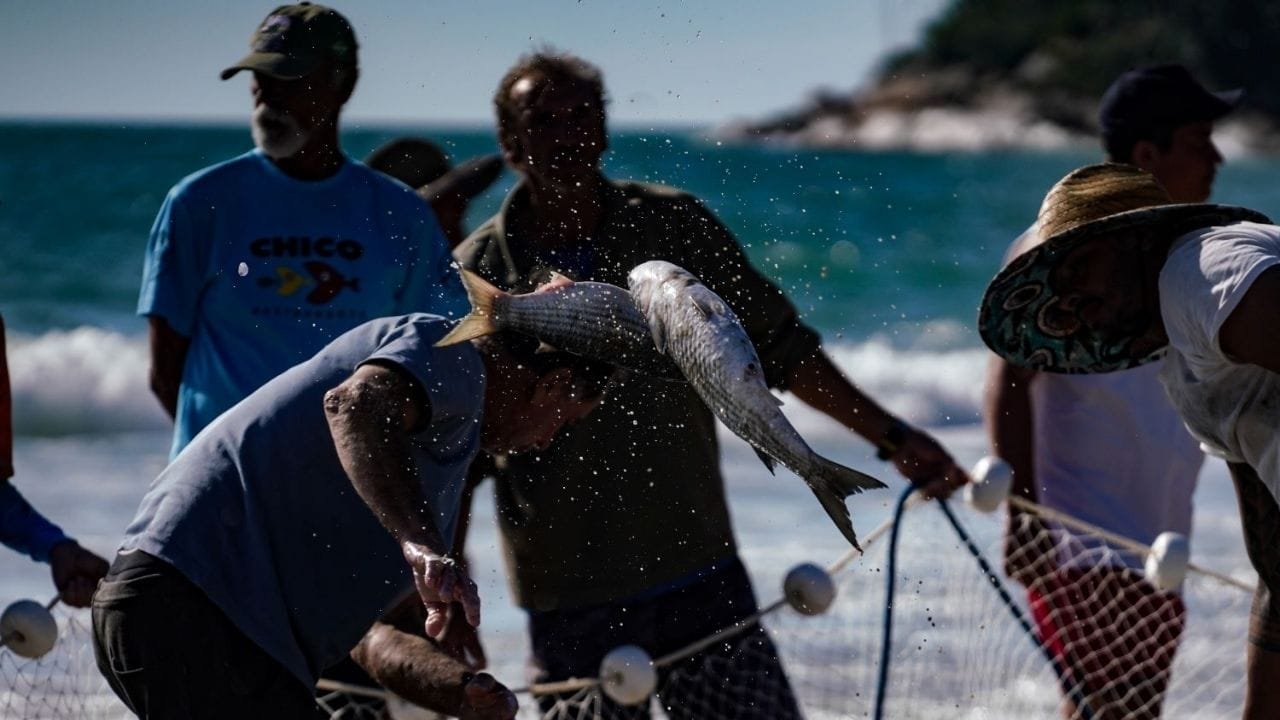 cotas para pesca da tainha,pesca da tainha em Santa Catarina,Portaria Interministerial MPA/MMA nº 26/2025,arrasto de praia,Secretaria Executiva da Aquicultura e Pesca SC,monitoramento pesca tainha,defesa dos pescadores artesanais,Justiça contra cotas pesca,sustentabilidade na pesca