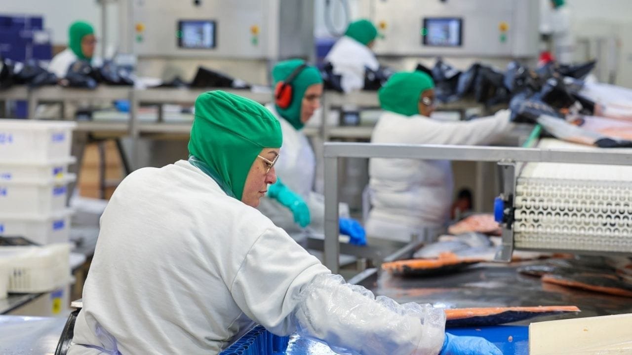 produção industrial Santa Catarina,crescimento indústria SC,IBGE 2025,economia de SC,indústria metalmecânica,exportações catarinenses,investimentos industriais SC,emprego na indústria SC,governador Jorginho Mello,dados da FIESC,setores industriais SC,ampliação de fábricas SC,máquinas e equipamentos SC,produção de veículos SC,indústria têxtil SC