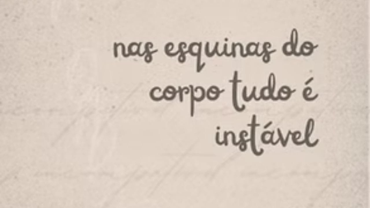 autismo na vida adulta,diagnóstico tardio,literatura brasileira contemporânea,livro sobre neurodivergência,Leon Nunes autor,financiamento coletivo de livros,livros sobre autismo,pertencimento e identidade,arte e autismo,representatividade literária