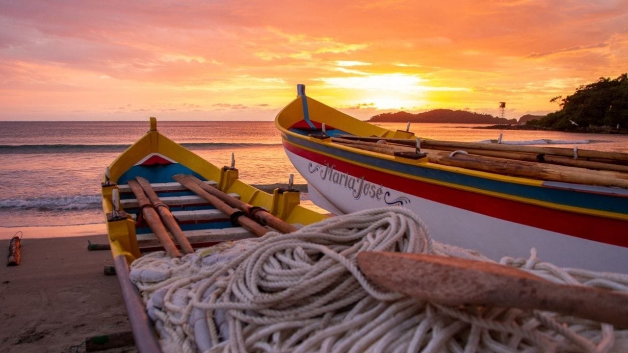 Rota Gastronômica da Tainha,festival gastronômico em Bombinhas,pratos com tainha,turismo em Santa Catarina,campanha Pesca da Tainha é Patrimônio