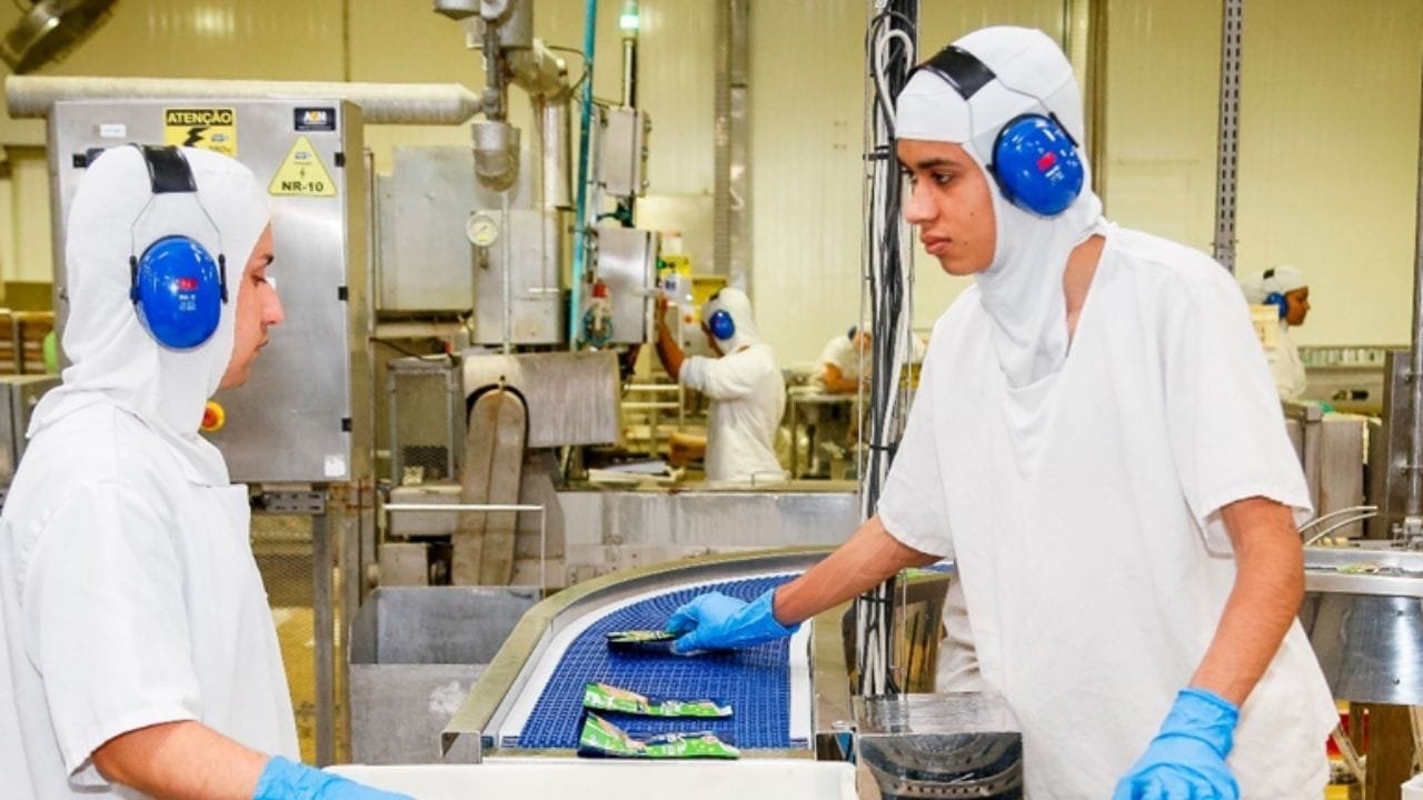 empregos Itajaí,vagas Nauterra,feirão Gomes da Costa