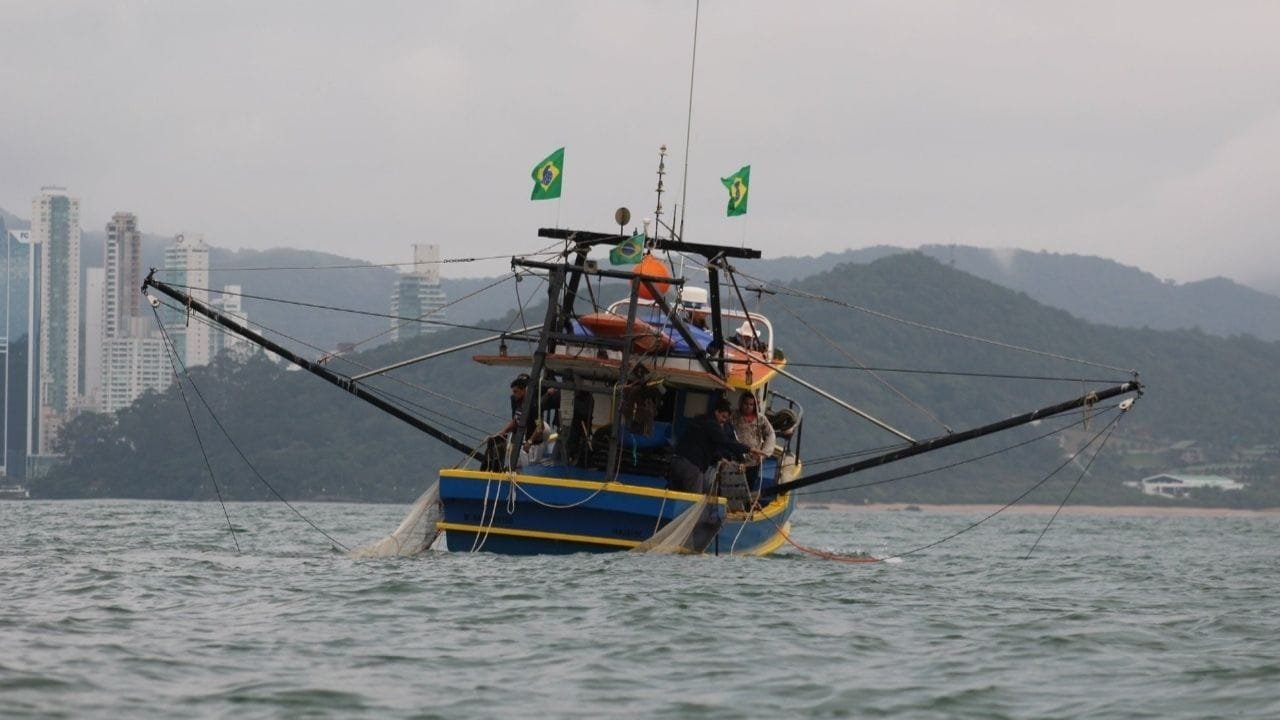 Festa dos Pescadores BC,arrasto de camarão,cultura da pesca BC,Praça do Pescador