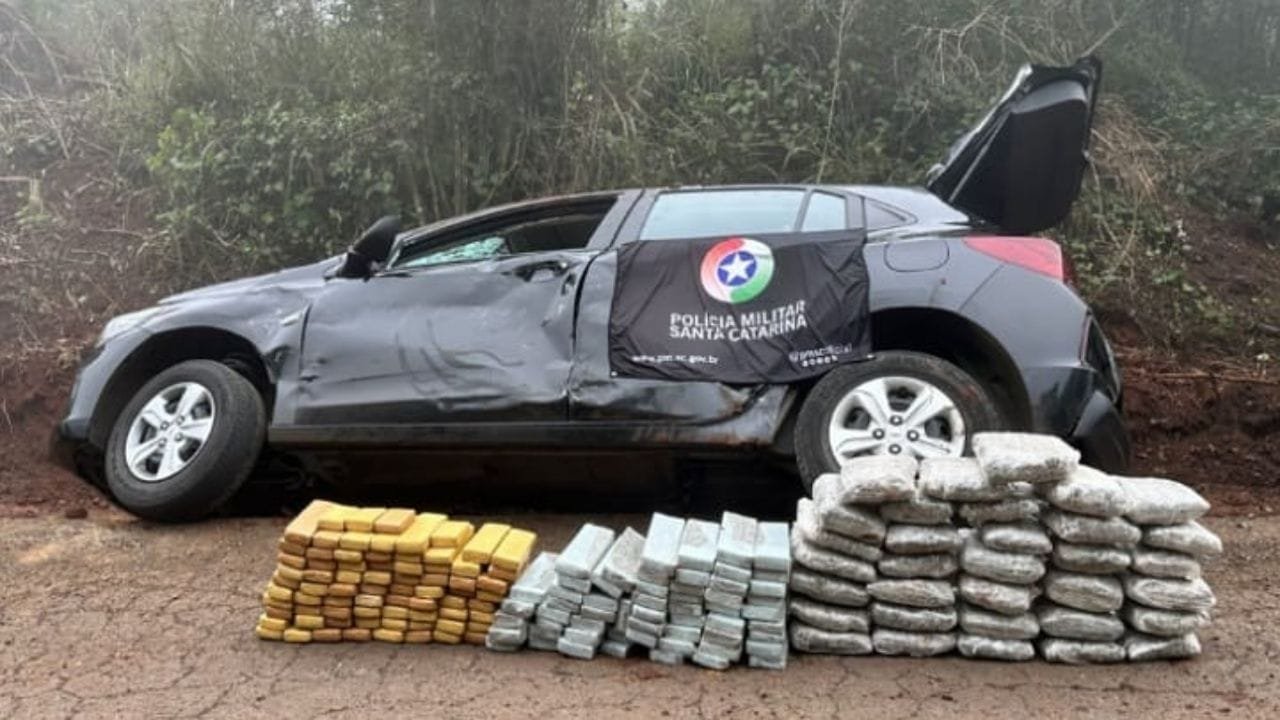 apreensões SC 2025,drogas rodovias SC,recorde Polícia Militar,maconha apreendida SC,CPMRv Santa Catarina