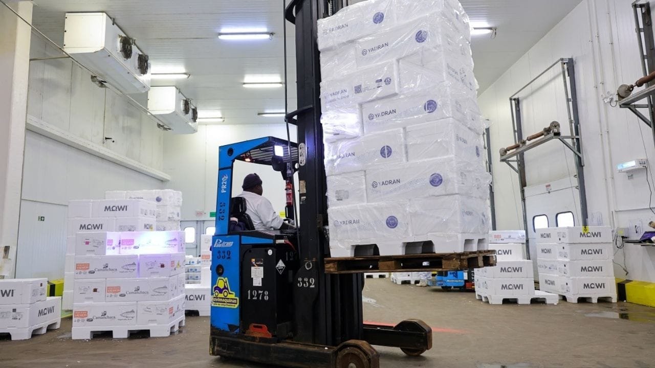 crescimento Santa Catarina,economia catarinense,IBCR Banco Central,indústria SC,turismo Santa Catarina