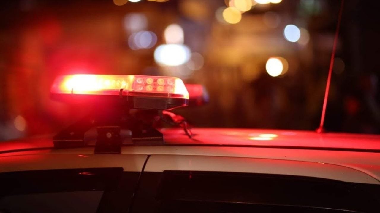 redução de criminalidade,julho 2025,histórico,violência,políticas de segurança,Plano Estadual de Combate à Violência contra a Mulher