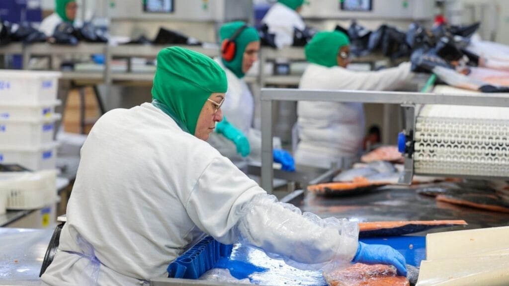 desemprego SC,pleno emprego Santa Catarina,mercado de trabalho catarinense,taxa de desemprego SC,Sine SC vagas de emprego