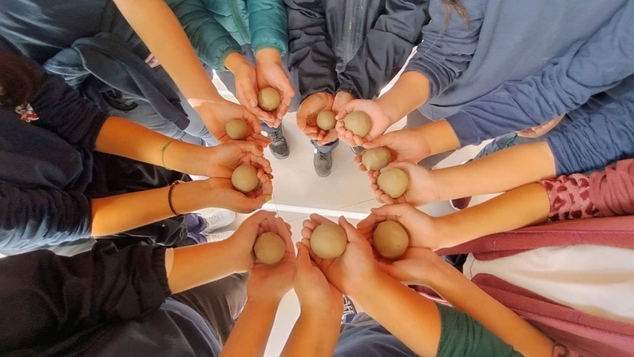 projeto Conhecendo a Mata Atlântica,educação ambiental Porto Belo,preservação Mata Atlântica,escolas Porto Belo,atividades ambientais escolares