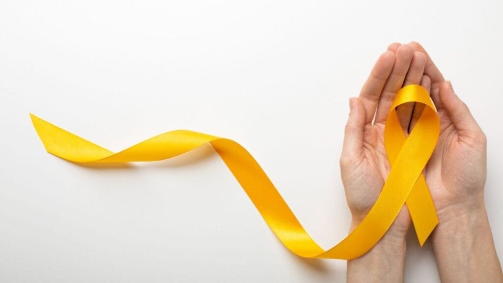 Setembro Amarelo Balneário Piçarras,saúde mental,prevenção ao suicídio