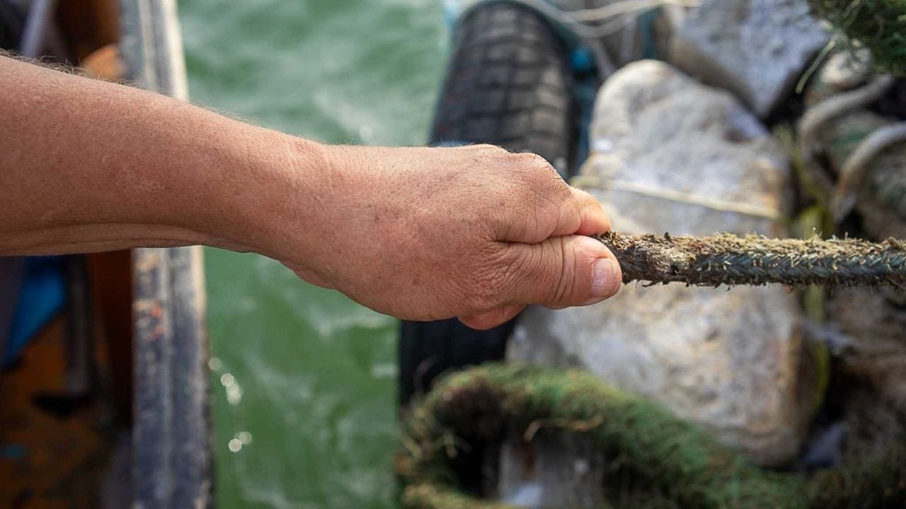 fotolivro Mulheres de Sal,mulheres da pesca artesanal,cultura marítima Bombinhas,Clarissa Herrig fotógrafa