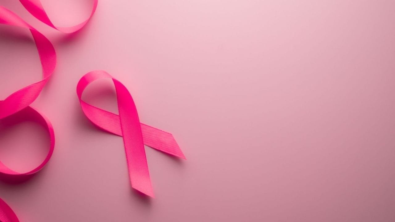 Encontro das Vencedoras,Itajaí Outubro Rosa,prevenção câncer de mama,Abraço dos Lenços,histórias de superação