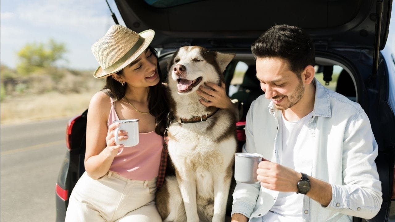 Decolar 7 de setembro,roteiros de experiência,turismo gastronômico,vinhos Brasil,café e chocolate Brasil