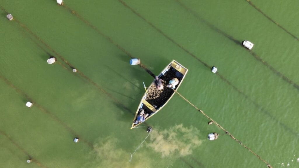 Festival do Mar Bombinhas,exposição Memórias Vivas do Mar,maricultura em Santa Catarina