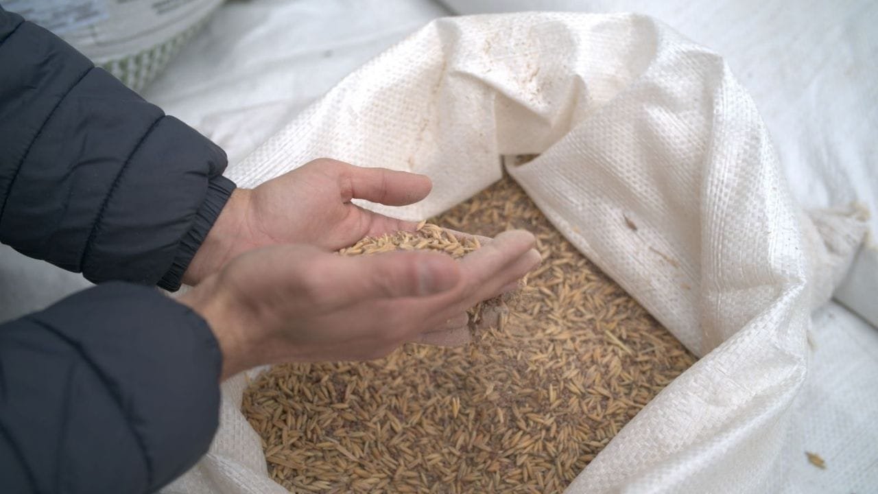 Kit Solo Saudável,agricultura sustentável Santa Catarina,Programa Terra Boa