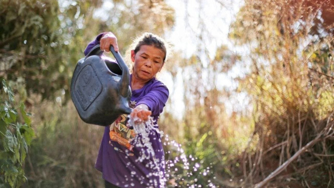 Marco de Sistemas Alimentares,MDS Brasil,políticas climáticas