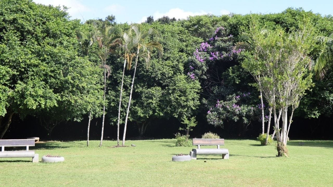 Parque Raimundo Malta,Balneário Camboriú,fechamento por chuva,visitação parque