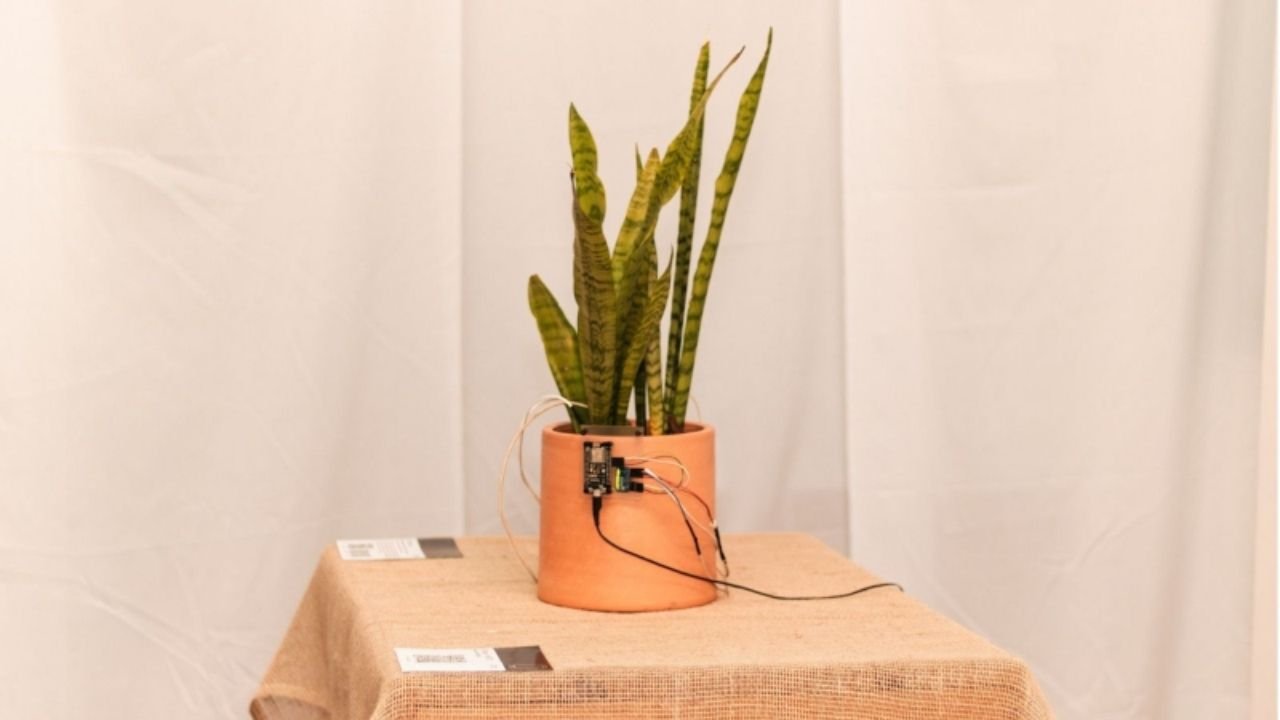 exposição Gambiarras,Casa da Cultura Dide Brandão,Itajaí cultura,arte e tecnologia Itajaí,Denis Zubieta artista,exposição interativa SC,Fundação Cultural de Itajaí,artes visuais Santa Catarina,mostra cultural Itajaí,exposição gratuita Itajaí,arte contemporânea SC,tecnologia e arte,cultura catarinense,exposições em Itajaí,programação cultural SC