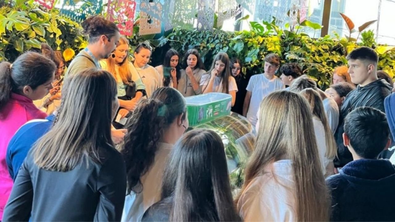 Oceanic Aquarium,Balneário Camboriú,aquário em Santa Catarina,educação ambiental,Dia Mundial da Educação Ambiental,projeto Gotas Fazem um Oceano,turismo educativo em Balneário Camboriú,conservação da biodiversidade,visita escolar aquário,ações ambientais em Santa Catarina,Grupo Oceanic,projetos de conservação marinha,aquário turístico SC,meia-entrada Oceanic Aquarium,preservação dos oceanos