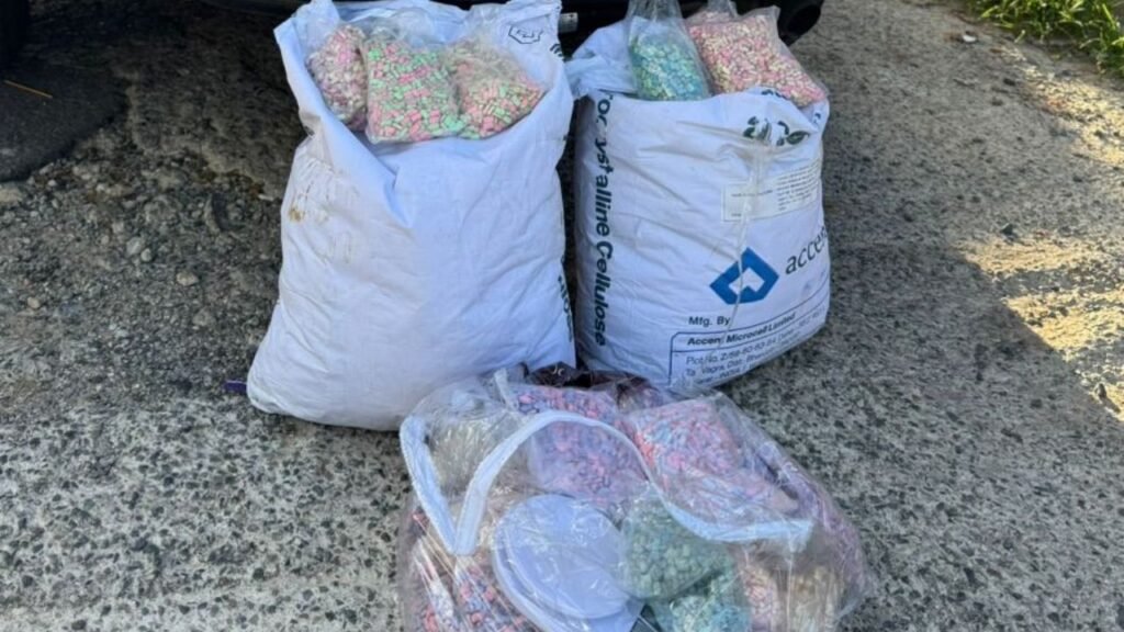 Operação Lei e Ordem,apreensão de drogas,ecstasy em Camboriú,tráfico de drogas