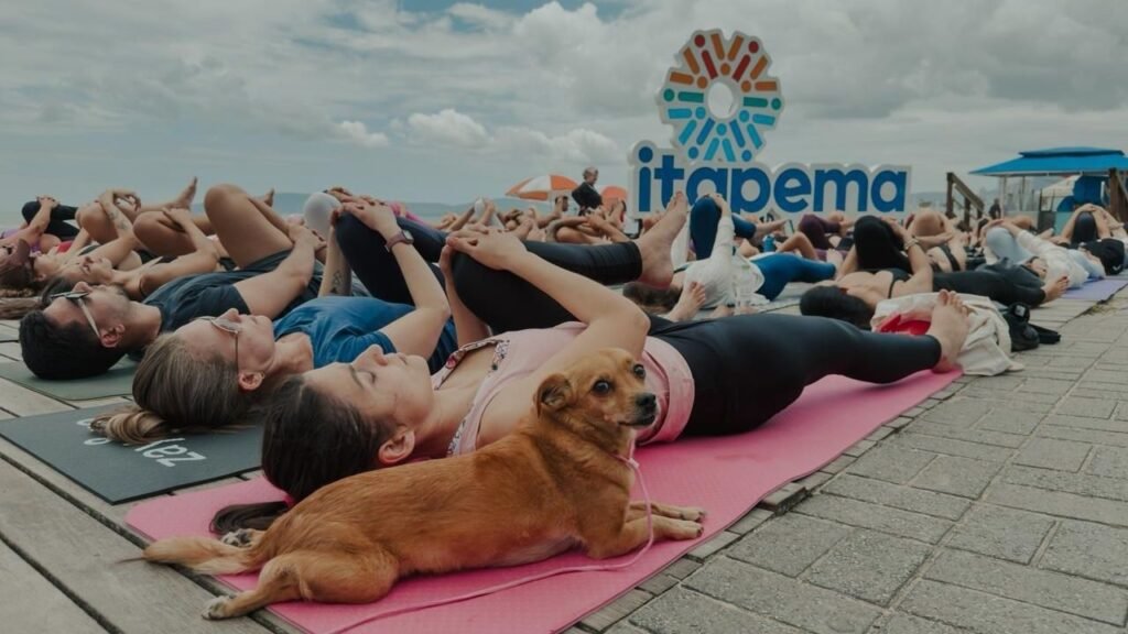 Viva Praia Itapema,edição noturna Viva Praia,Orla Central Itapema,eventos em Itapema,turismo em Itapema,verão em Itapema,feira ao ar livre Itapema,lazer na orla de Itapema,programação de verão Itapema,comércio local Itapema,gastronomia Itapema,eventos turísticos SC,turismo Santa Catarina,atrações de verão Itapema,Prefeitura de Itapema turismo